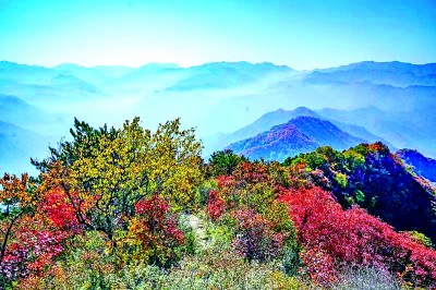 Hello! National treasure panda